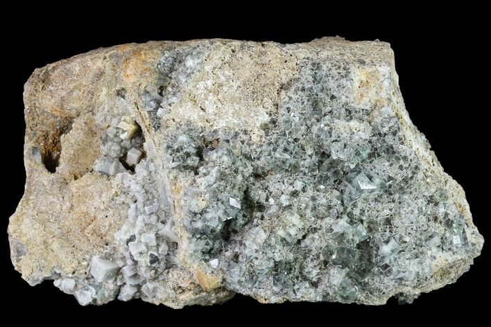 Bargain, Fluorite Crystal Cluster - Rogerley Mine #143063